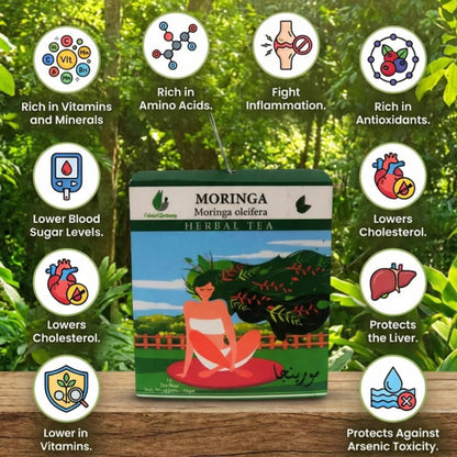 Moringa-12 Tea bags