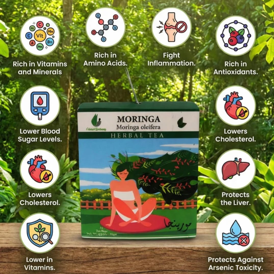 Moringa-12 Tea bags - Image 3